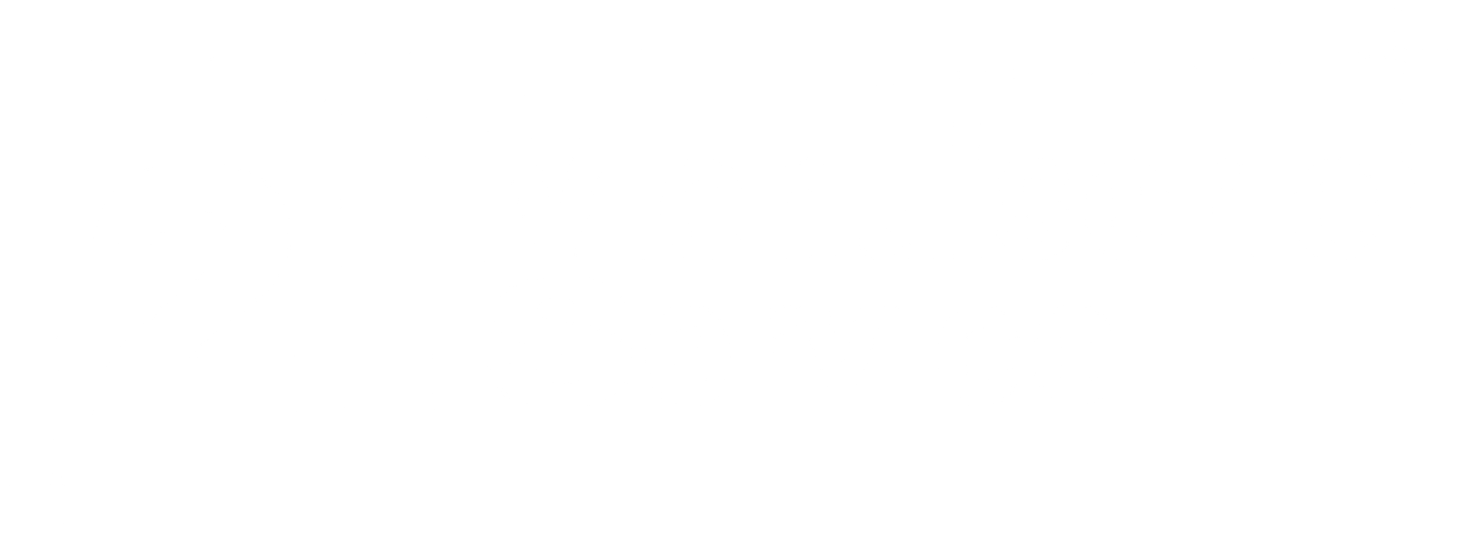 Logo 2TMS